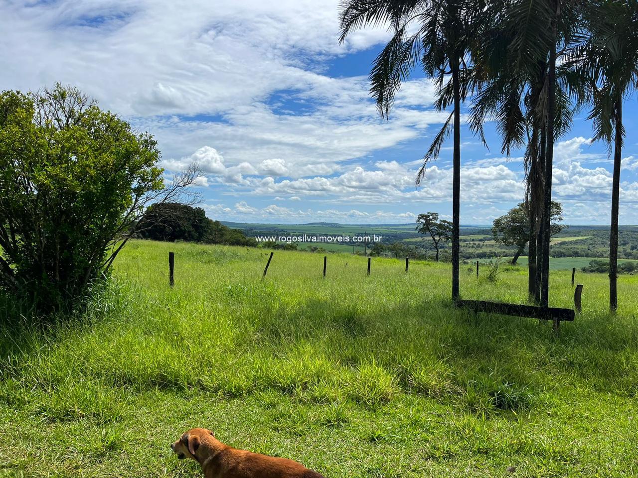 Fazenda Campo florido 455