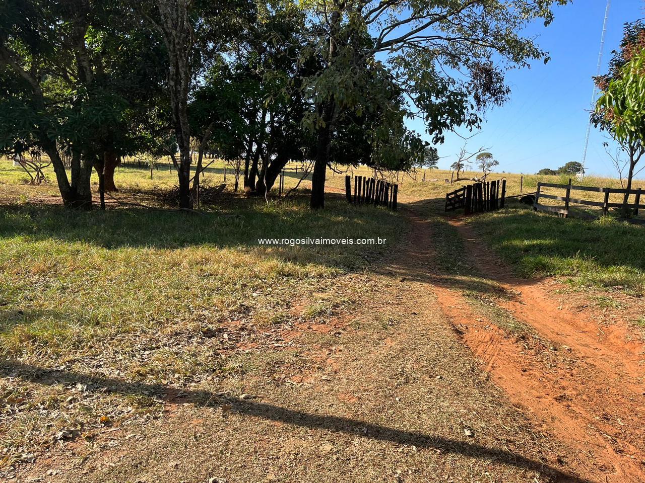 Fazenda 96 Hectares Próx Campo Florido Terra para Cana R$ 5,5 Milhões